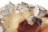 Purple Edge Fluorite Crystal Cluster - Qinglong Mine, China #205250-1